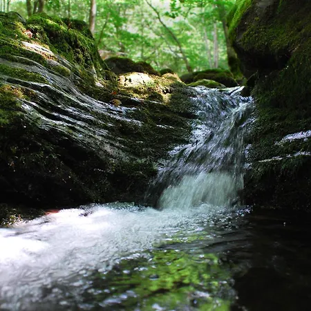 Casa Fresneda Jardin Rio Y Parque Infantil Frente A La Casa Landsted *