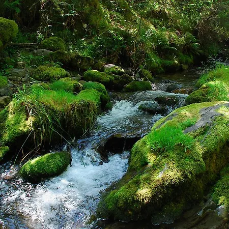 Casa Fresneda Jardin Rio Y Parque Infantil Frente A La Casa Fresneda de la Sierra Tirón
