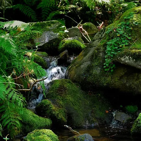 Landsted Casa Fresneda Jardin Rio Y Parque Infantil Frente A La Casa Fresneda de la Sierra Tirón