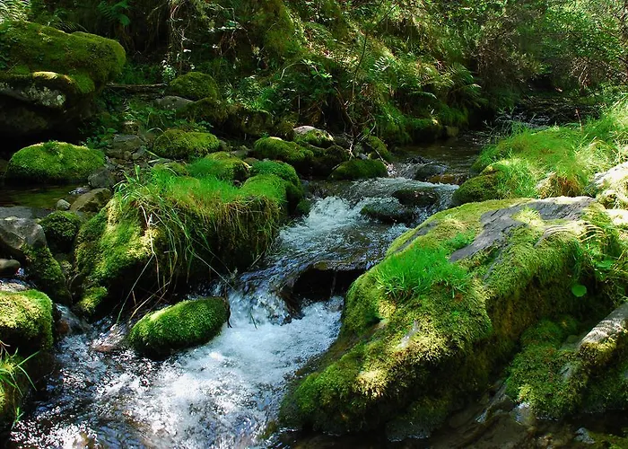 Casa Fresneda Jardin Rio Y Parque Infantil Frente A La Casa Fresneda de la Sierra Tirón