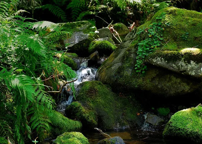 カントリーハウス Casa Fresneda Jardin Rio Y Parque Infantil Frente A La Casa Fresneda de la Sierra Tirón